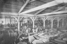 Taller de embotelladura y pasteurización de la Compañía Cervecerías Unidas, Santiago, 1902