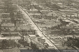 Vista parcial de Copiapó, 1872