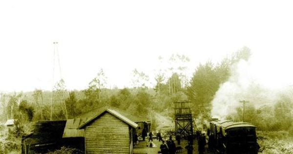 Estación de ferrocarril entre Castro y Ancud, hacia 1930