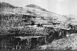 Vista del río Coyhaique a 3 km de la estancia central de la S.I.A., 1920