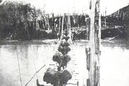 Acarreo de lana en puente sobre el río Ñadis, Aysén, hacia 1920