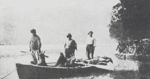 Caza de huemules en la región del río Baker, Aysén, hacia 1920