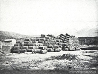 Cargamento de lana esperando su transporte río abajo para ser exportado, valle del río Baker, 1928