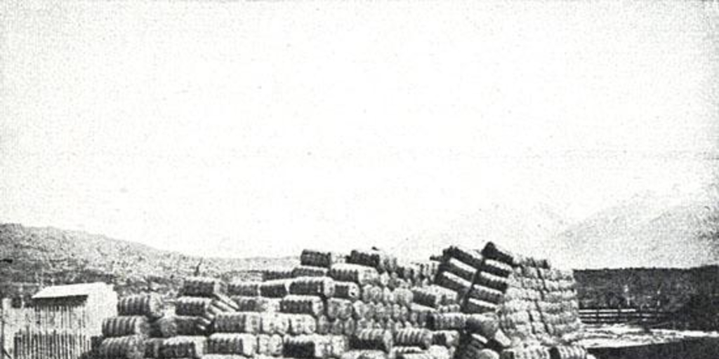 Cargamento de lana esperando su transporte río abajo para ser exportado, valle del río Baker, 1928