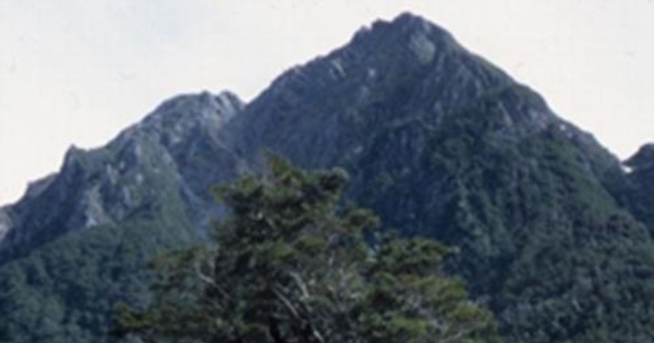 Cuesta Queulat sur, Parque Nacional Queulat, Aysén, 2001