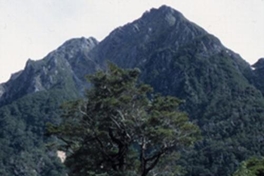 Cuesta Queulat sur, Parque Nacional Queulat, Aysén, 2001