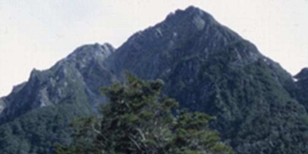 Cuesta Queulat sur, Parque Nacional Queulat, Aysén, 2001