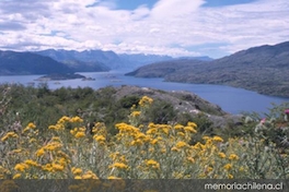 Lago Cochrane, Aysén, 2001