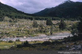 Bosque quemado en Río Carreras, Aysén, 2001