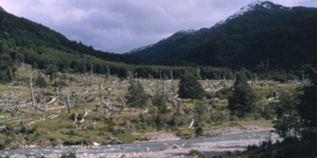 Bosque quemado en Río Carreras, Aysén, 2001