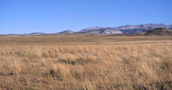 Estepa patagónica cerca de Balmaceda, Aysén, 2001