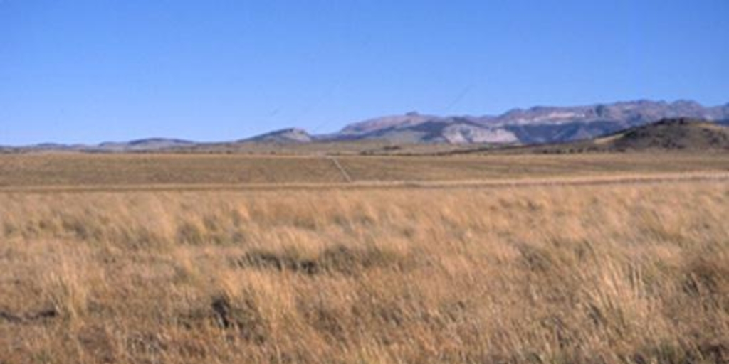 Estepa patagónica cerca de Balmaceda, Aysén, 2001