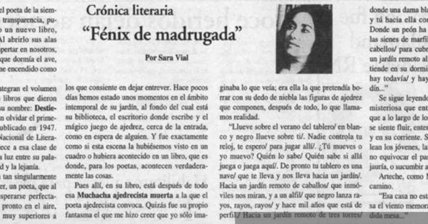 Fénix de madrugada