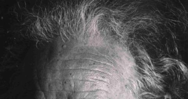 Nicanor Parra, 1914-