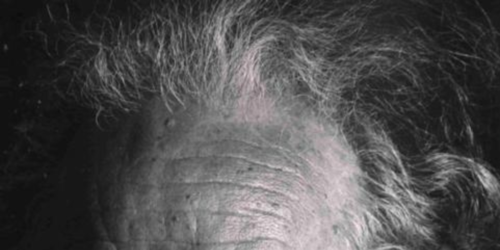 Nicanor Parra, 1914-