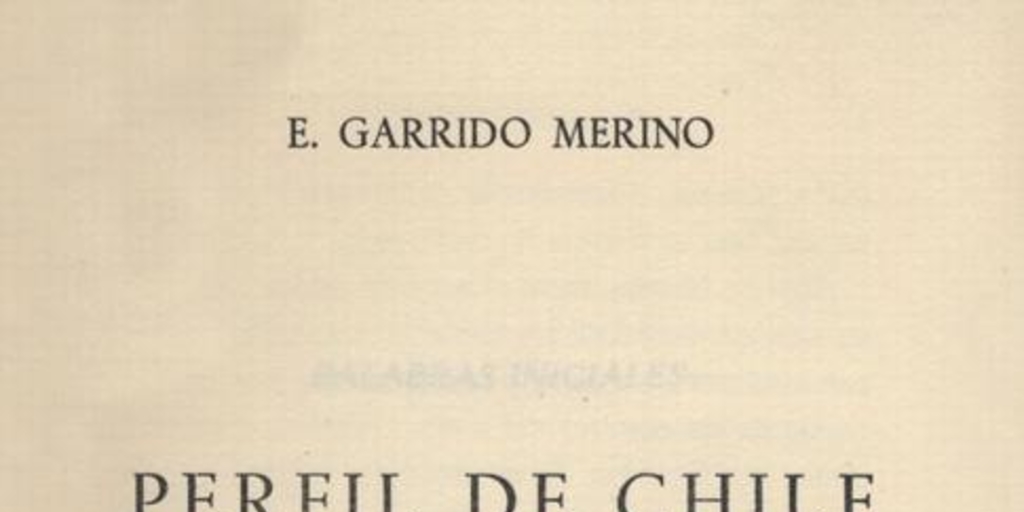 Perfil de Chile