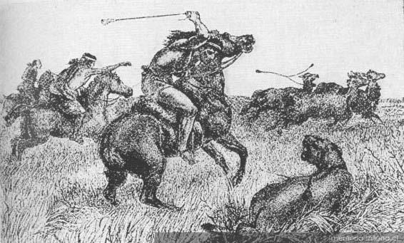 Indios cazando guanacos, en primer término, un puma