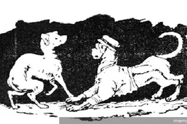 Pero Garibaldi i Musidora no podían acudir a su llamado por motivos que los perros bien comprenderán