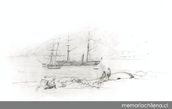 Barcos en el puerto de Cobija, hacia 1800