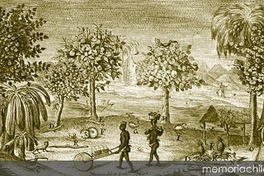 El reino de Quito y sus plantas, 1748