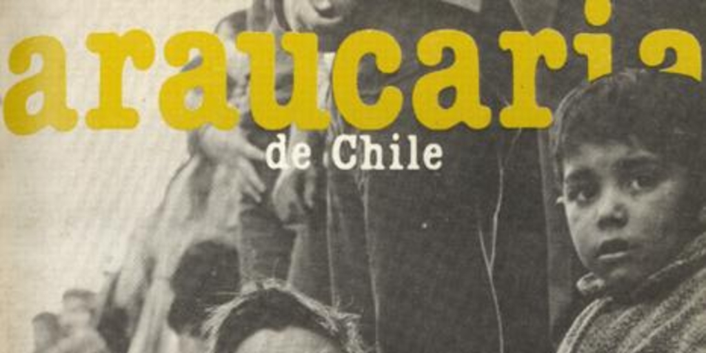 Araucaria de Chile, Nº 23, 1983