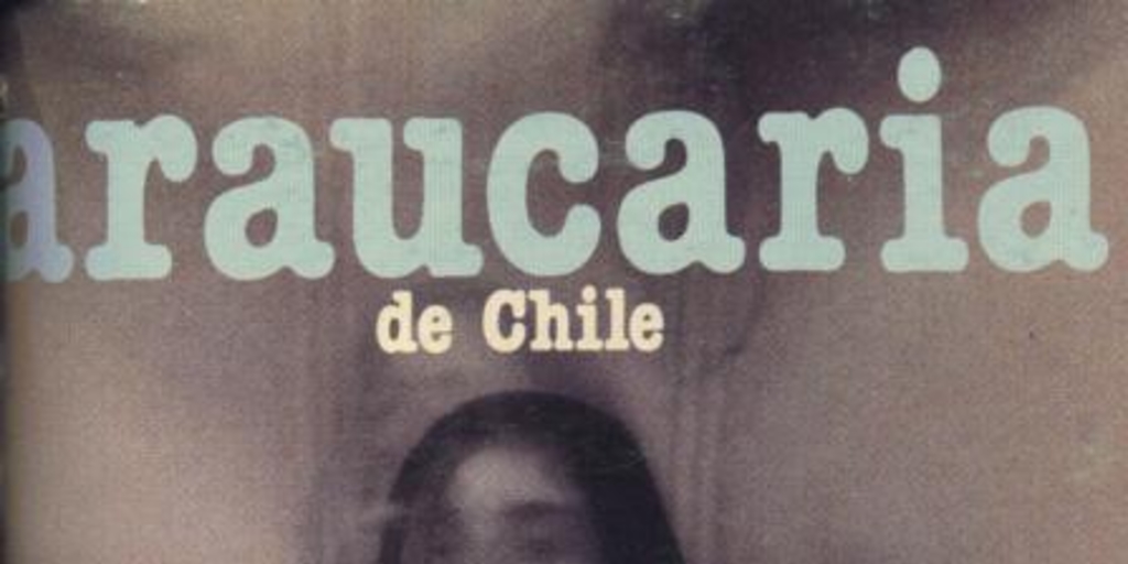 Araucaria de Chile, Nº 43, 1988