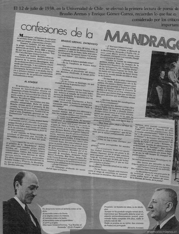 Confesiones de la mandragora