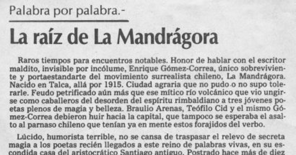 Palabra por palabra : La raíz de La Mandrágora