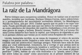 Palabra por palabra : La raíz de La Mandrágora