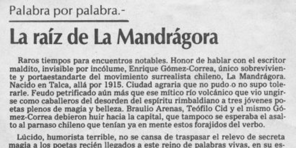 Palabra por palabra : La raíz de La Mandrágora