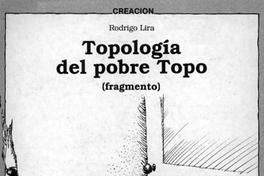 Topología del pobre Topo. Fragmento