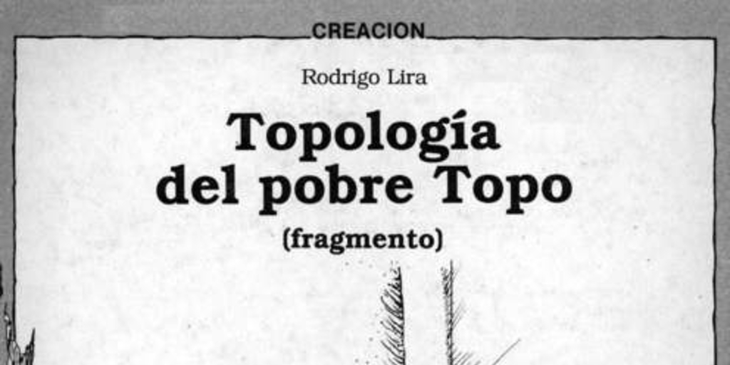 Topología del pobre Topo. Fragmento