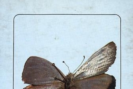El anfitrión