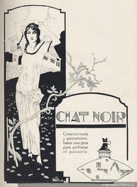 Chat Noir : concentrada y persistente