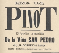 Pida Ud. Pinot de la Viña San Pedro