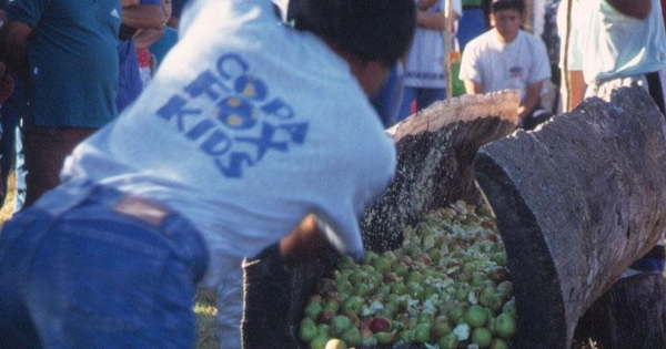 Maja a vara, fiesta costumbrista en Estero Chacao, febrero 2000