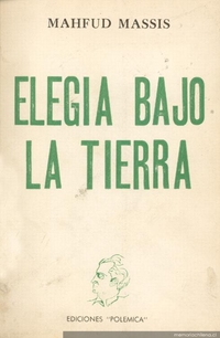 Elegía bajo la tierra