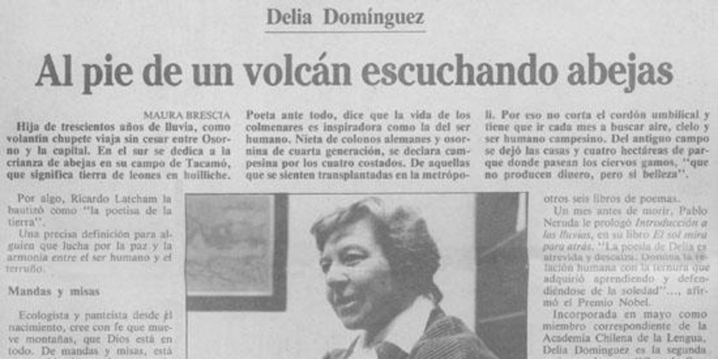 Al pie de un volcán escuchando abejas