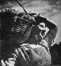 Recolectora de uvas, hacia 1945