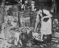 Proceso de desinfección de toneles con huinchas de azufre, 1945