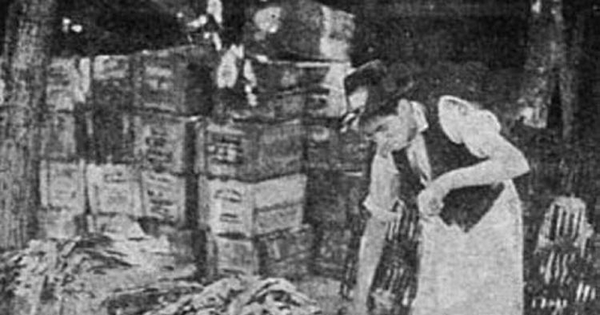 Proceso de desinfección de toneles con huinchas de azufre, 1945