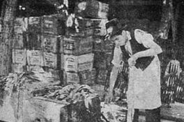 Proceso de desinfección de toneles con huinchas de azufre, 1945