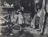 Una ratonera donde vive toda una familia, 1910