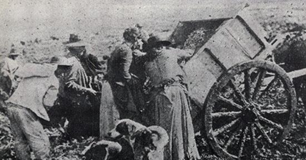 Hornos crematorios en las riberas del río Mapocho, 1905