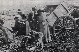 Hornos crematorios en las riberas del río Mapocho, 1905