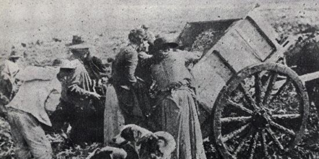 Hornos crematorios en las riberas del río Mapocho, 1905