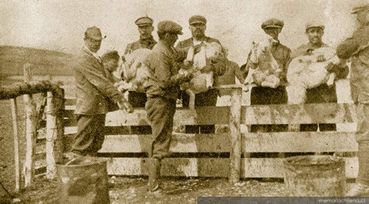 Obreros de la Estancia Las Lagunas, Magallanes, 1920