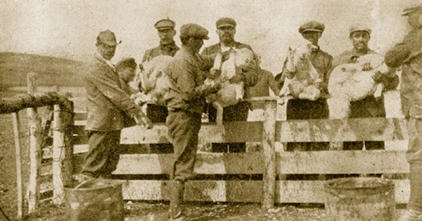 Obreros de la Estancia Las Lagunas, Magallanes, 1920