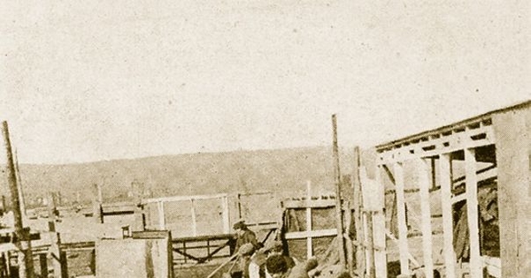 Obreros bañando ovejas en la Estancia Cameron, Tierra del Fuego, 1920