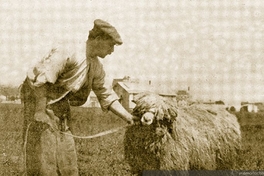 Pastor de la Estancia Tres Chorrillos, Magallanes, 1920